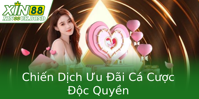 Chiến Dịch Ưu Đãi Cá Cược Độc Quyền
