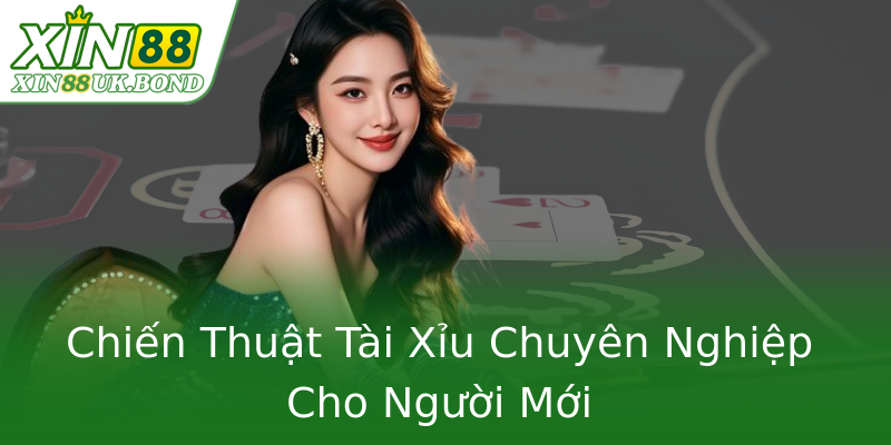 Chiến Thuật Tài Xỉu Chuyên Nghiệp Cho Người Mới Chiến Thuật Tài Xỉu Chuyên Nghiệp Cho Người Mới