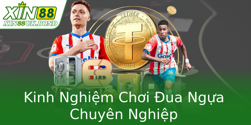 Kinh Nghiệm Chơi Đua Ngựa Chuyên Nghiệp Kinh Nghiệm Chơi Đua Ngựa Chuyên Nghiệp