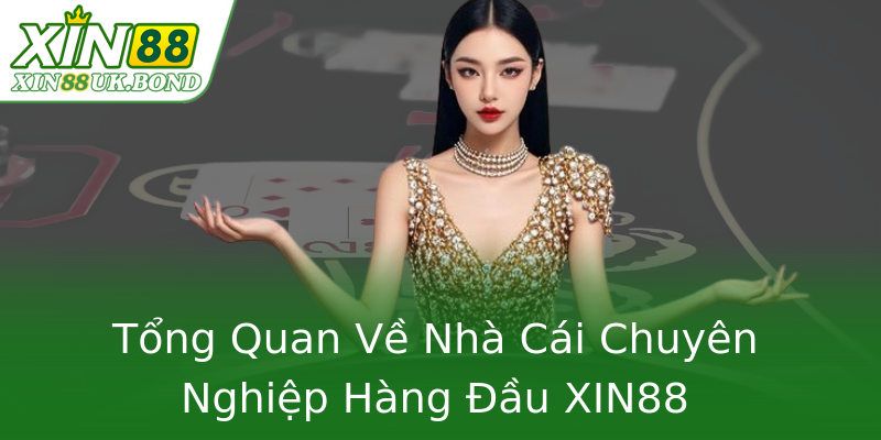 Tổng Quan Về Nhà Cái Chuyên Nghiệp Hàng Đầu XIN88 Tổng Quan Về Nhà Cái Chuyên Nghiệp Hàng Đầu XIN88