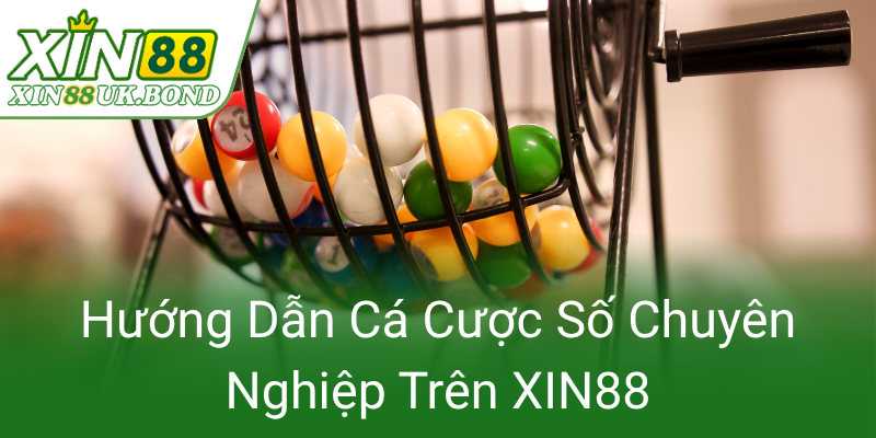 Huong Dan Ca Cuoc So Chuyen Nghiep Tren Xin880