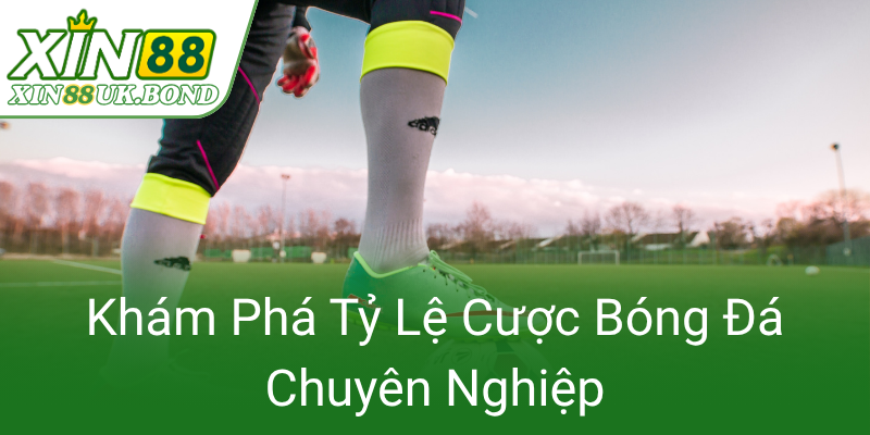 Thể Thao XIN88 - Trải Nghiệm Cá Cược Thể Thao Đẳng Cấp Và Đáng Tin Cậy 3 Kham Pha Ty Le Cuoc Bong Da Chuyen Nghiep0